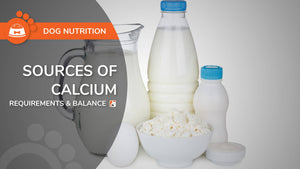 Sources of Calcium For Dogs - Requirements and Balance