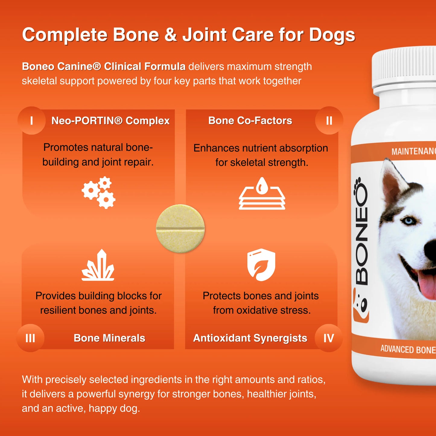 Boneo Canine® Maintenance