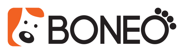 Boneo Canine